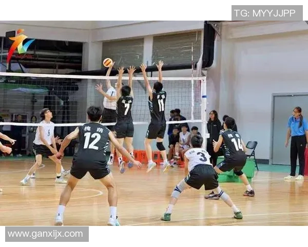 武汉排球队在洲际杯中的默契配合展现团队实力与战术智慧